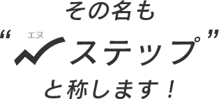 その名もエヌステップと称します！